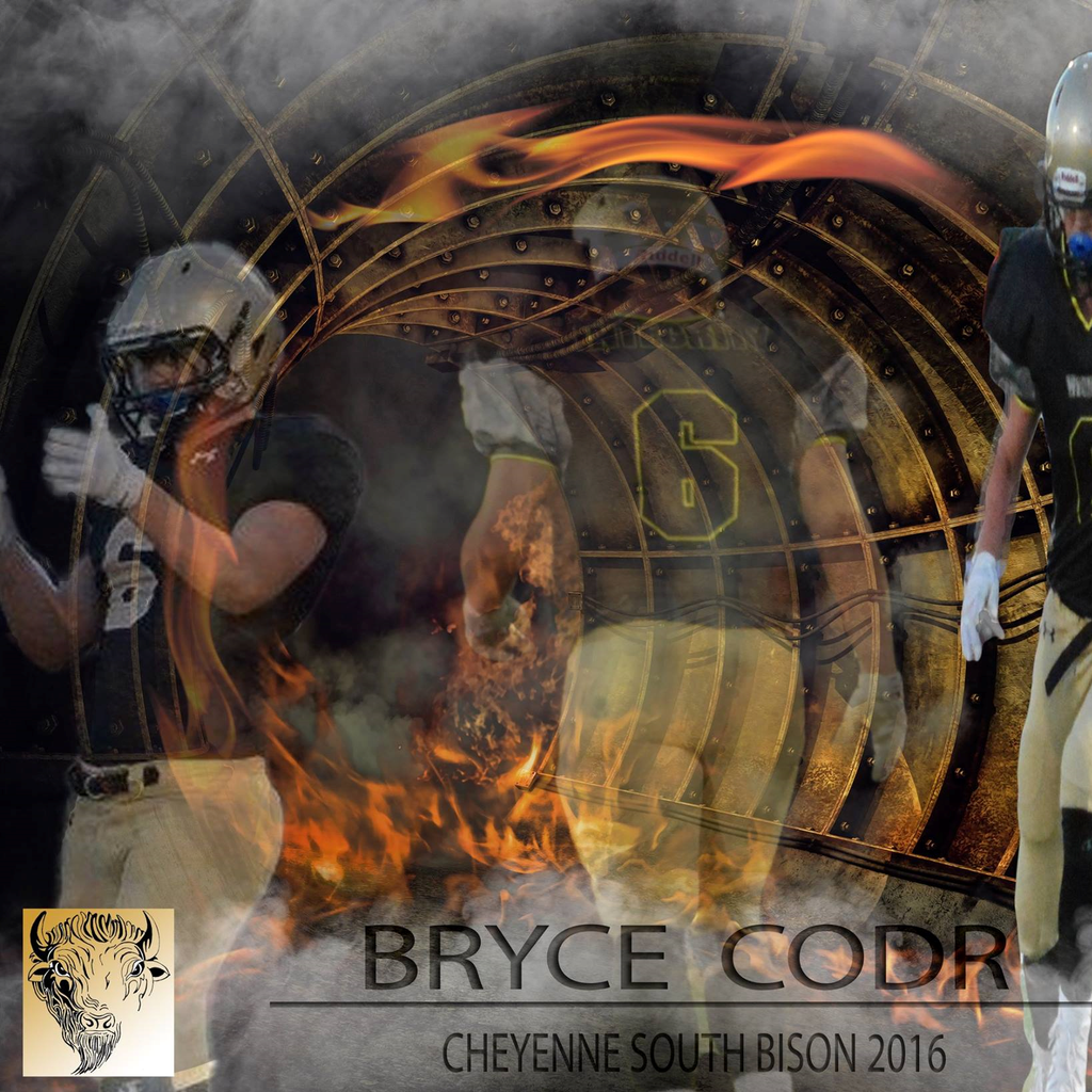 Bryce Codr