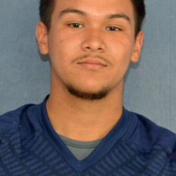 Chris Gonzalez mugshot