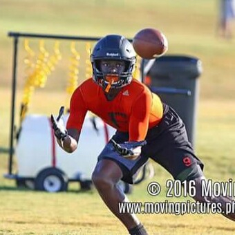 Damian Edwards