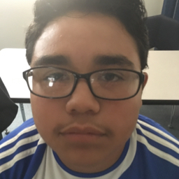 Brian Valle