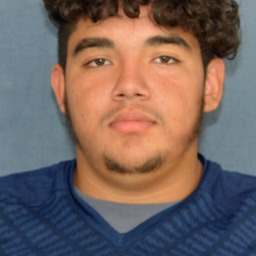 Aureleo Flores mugshot