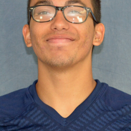 Luis Llamas mugshot