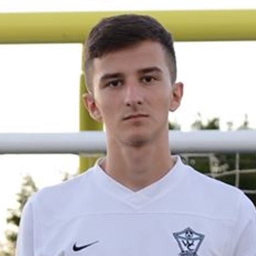Mirnes Jasarevic