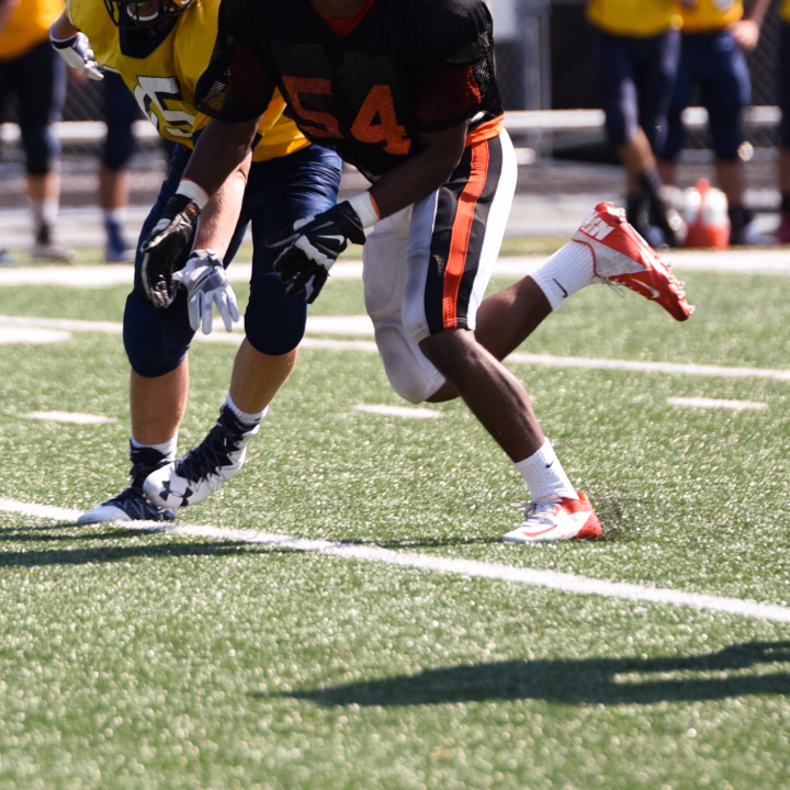 Rehn Williams
