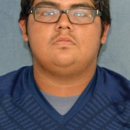 Ricardo Calderon mugshot