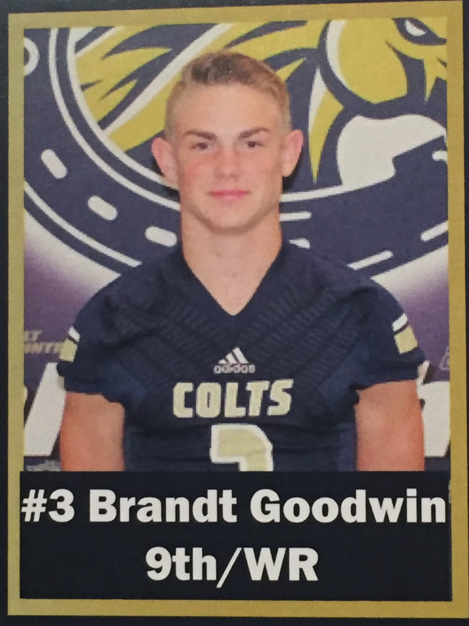 Brandt Goodwin