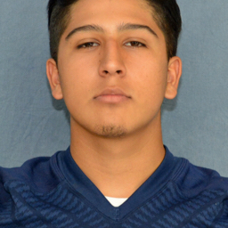 Louie Parra mugshot