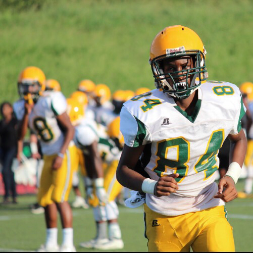 Matthew Herod jr.