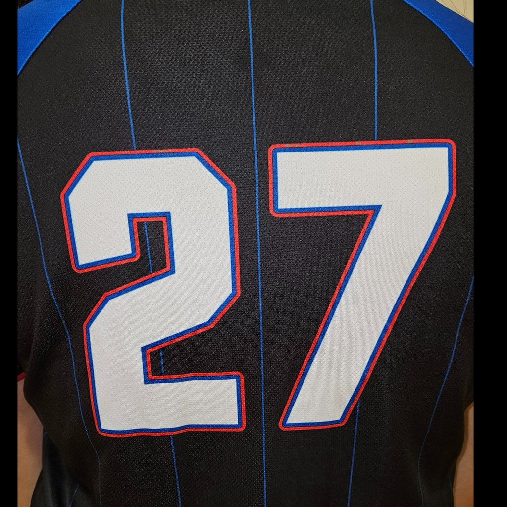 Priscilla Aragon mugshot