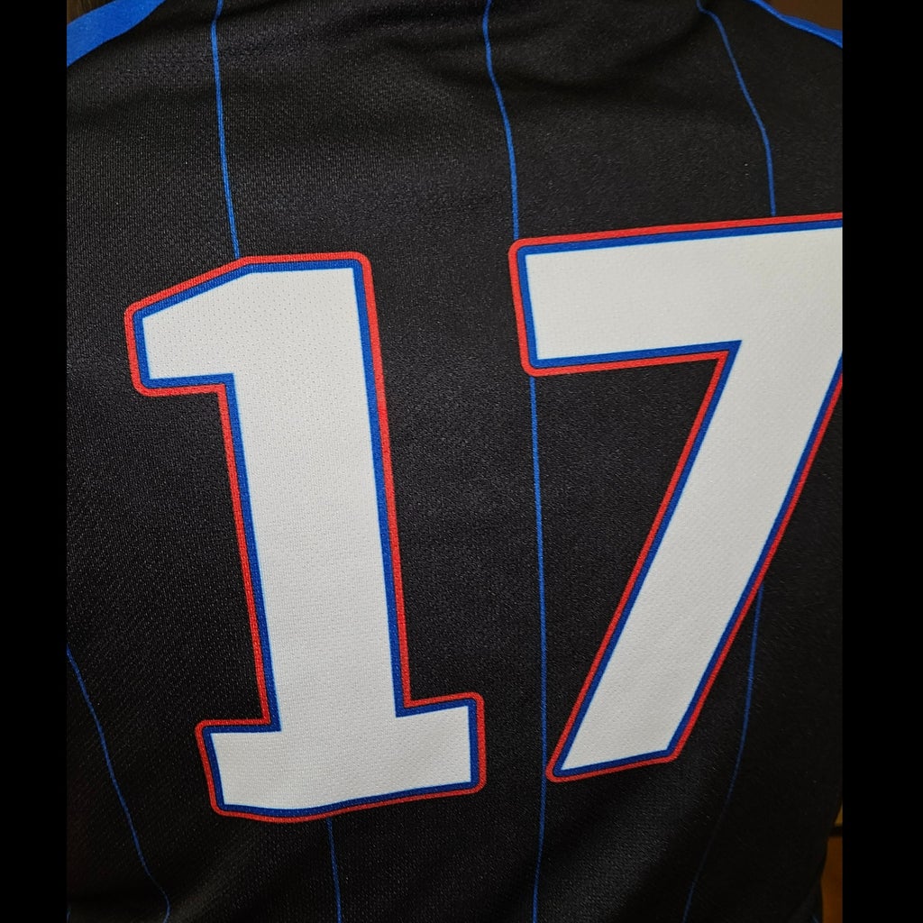 Sayni Palmer Lee mugshot