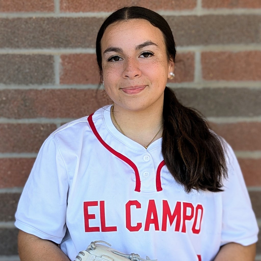 Airbel Zarate mugshot