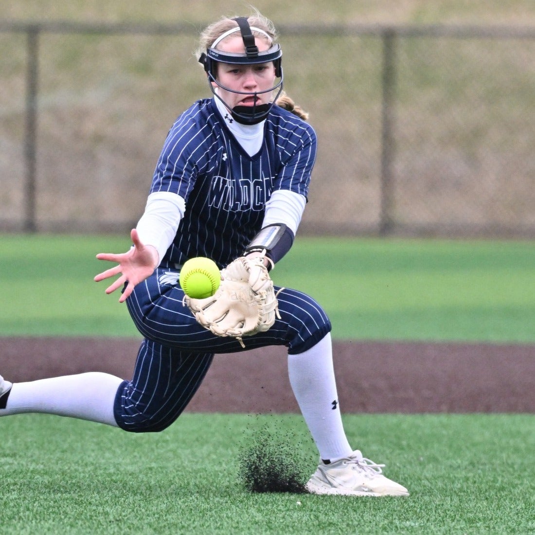 Amelia Fluman mugshot