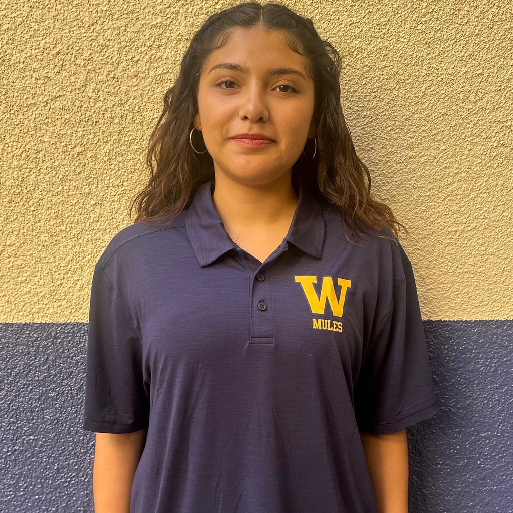 Alondra Gordillo mugshot