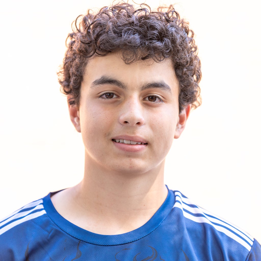 Ari Palmieri mugshot