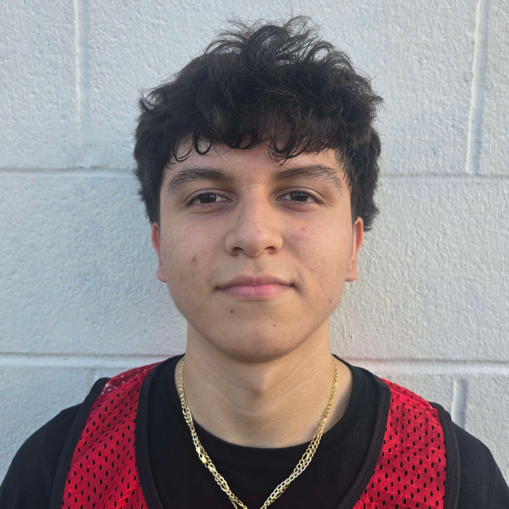 ALEXIS TORRES mugshot
