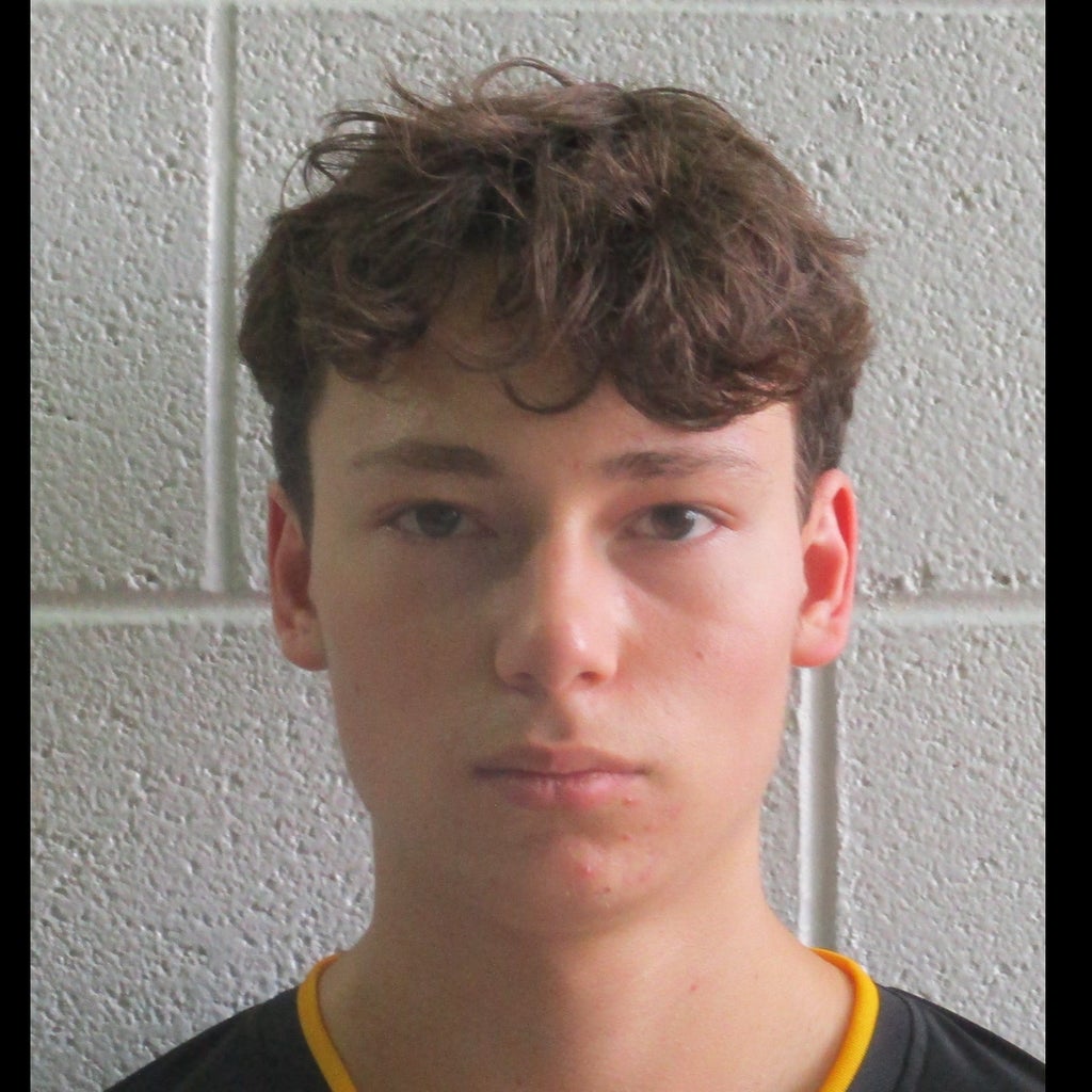 Stephan Liautaud mugshot