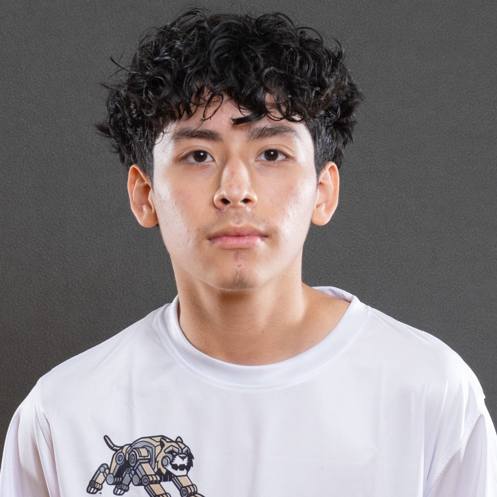 Wilmer Lopez mugshot