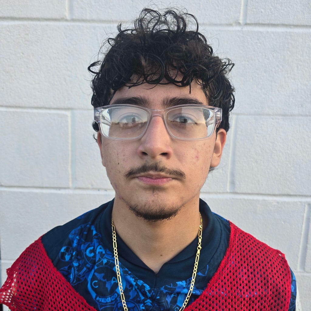 RAUL DIAZ mugshot