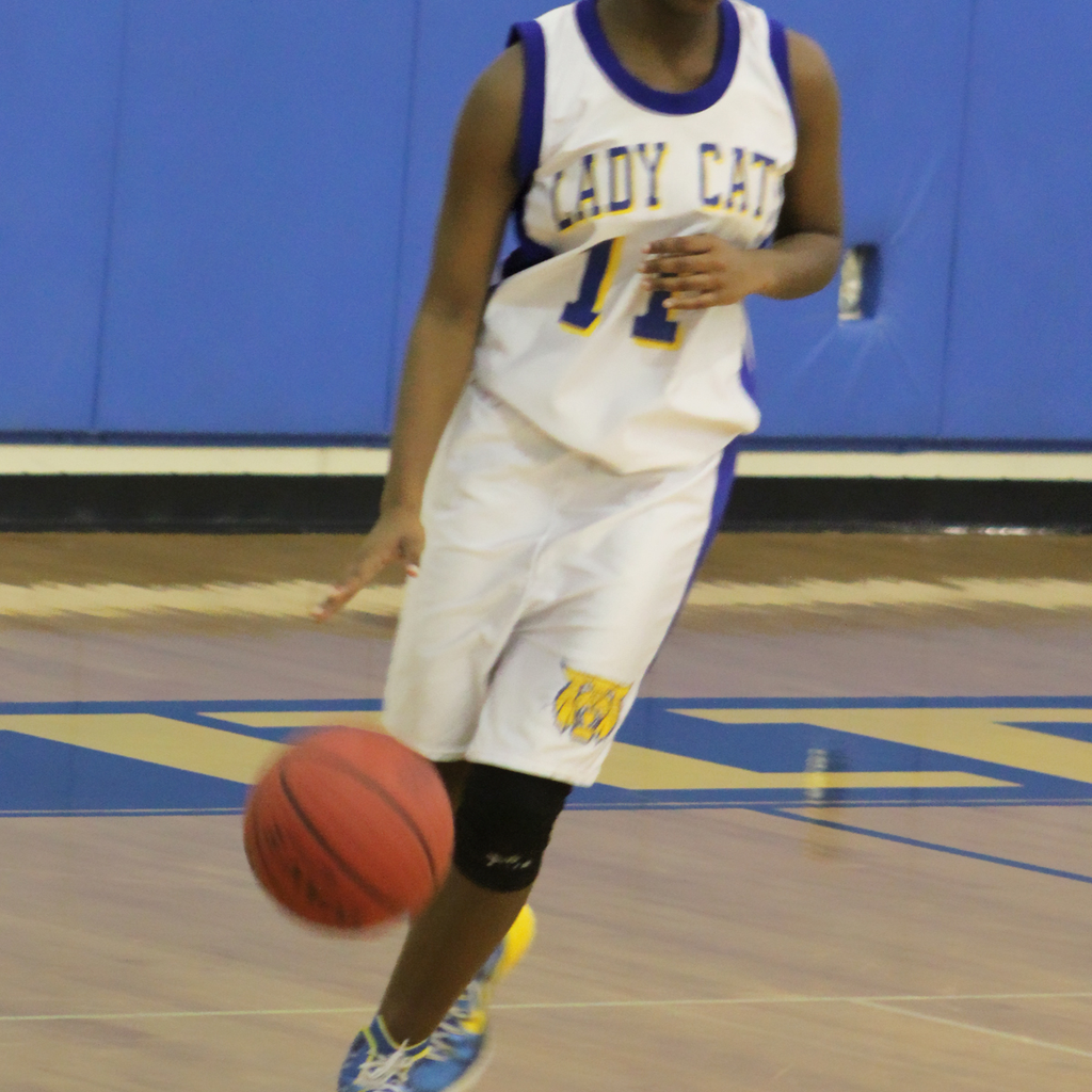 Briana Gibbs