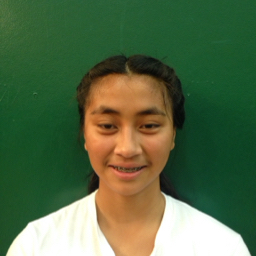 adriene castillo mugshot