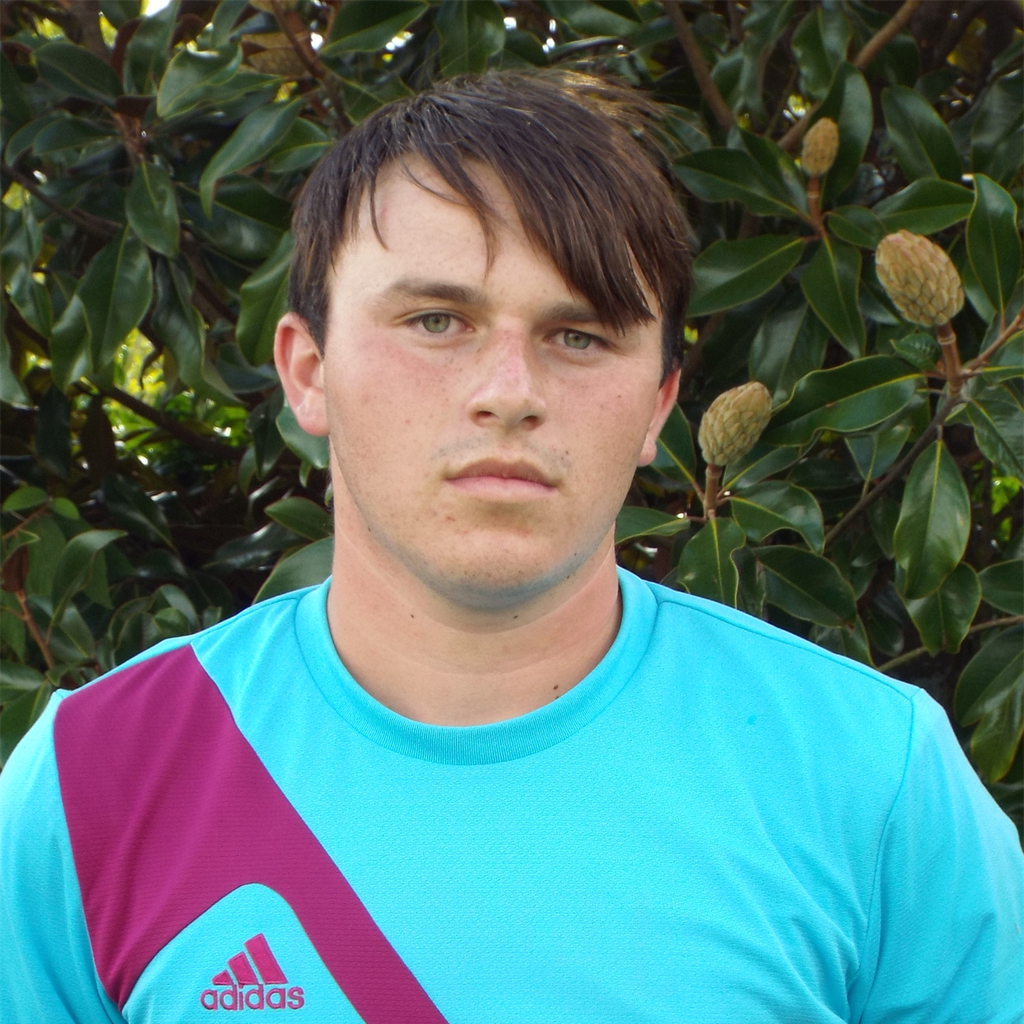 Matt Madden