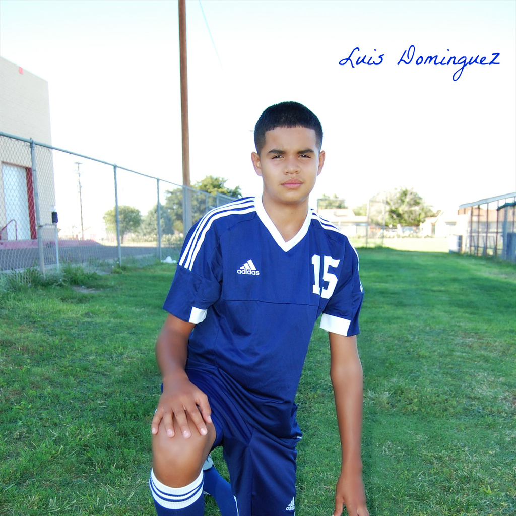 Luis Domingues