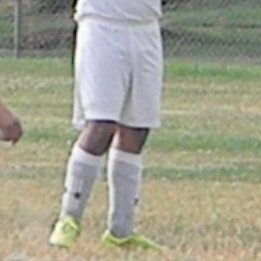Damian Perez mugshot