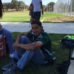 Mario Gutierrez mugshot