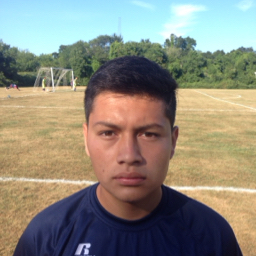 Luis Giron mugshot