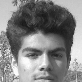 Cristian Zarate mugshot
