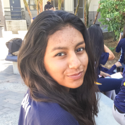 Jannet Garcia mugshot