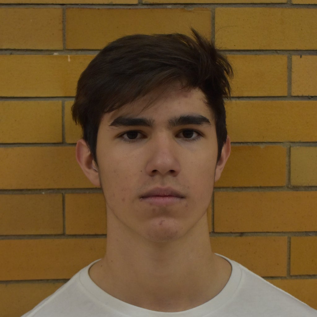 Adam  Vucic mugshot