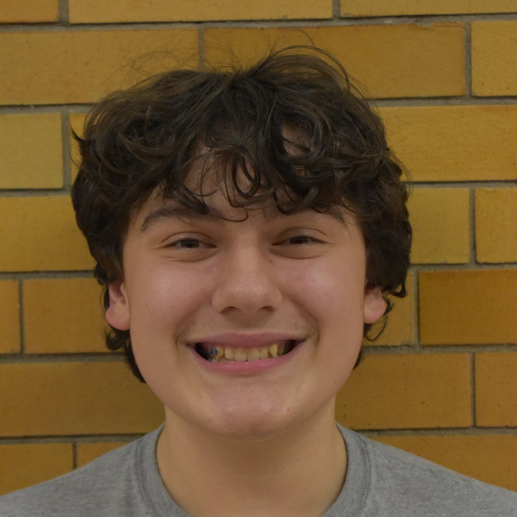Vincent  Mannella mugshot