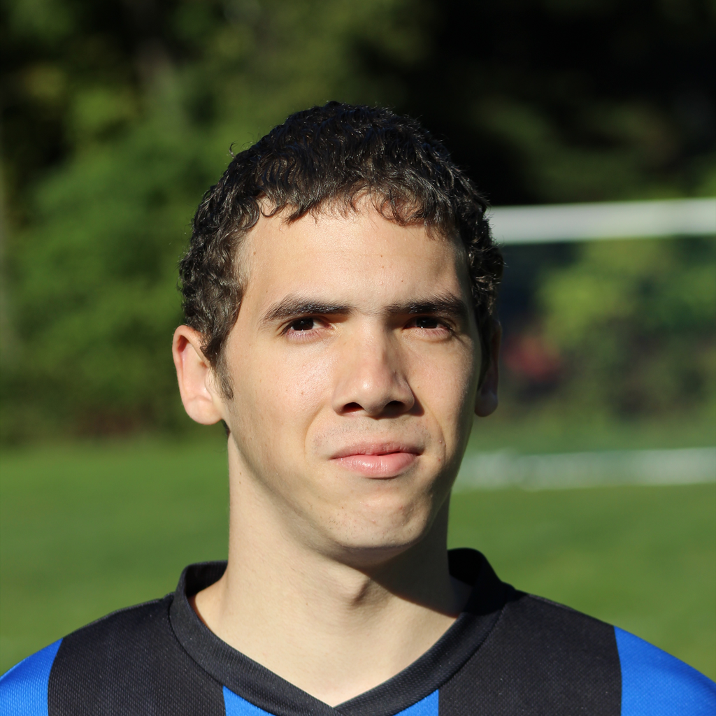 Luis Moya