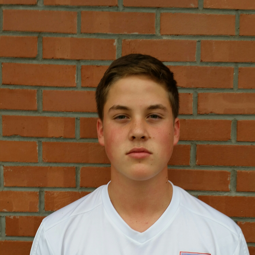 Josh Olsen mugshot