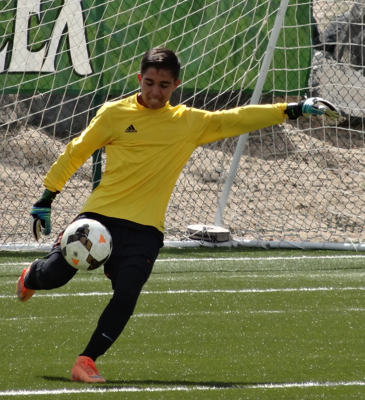 Derek Rodriguez