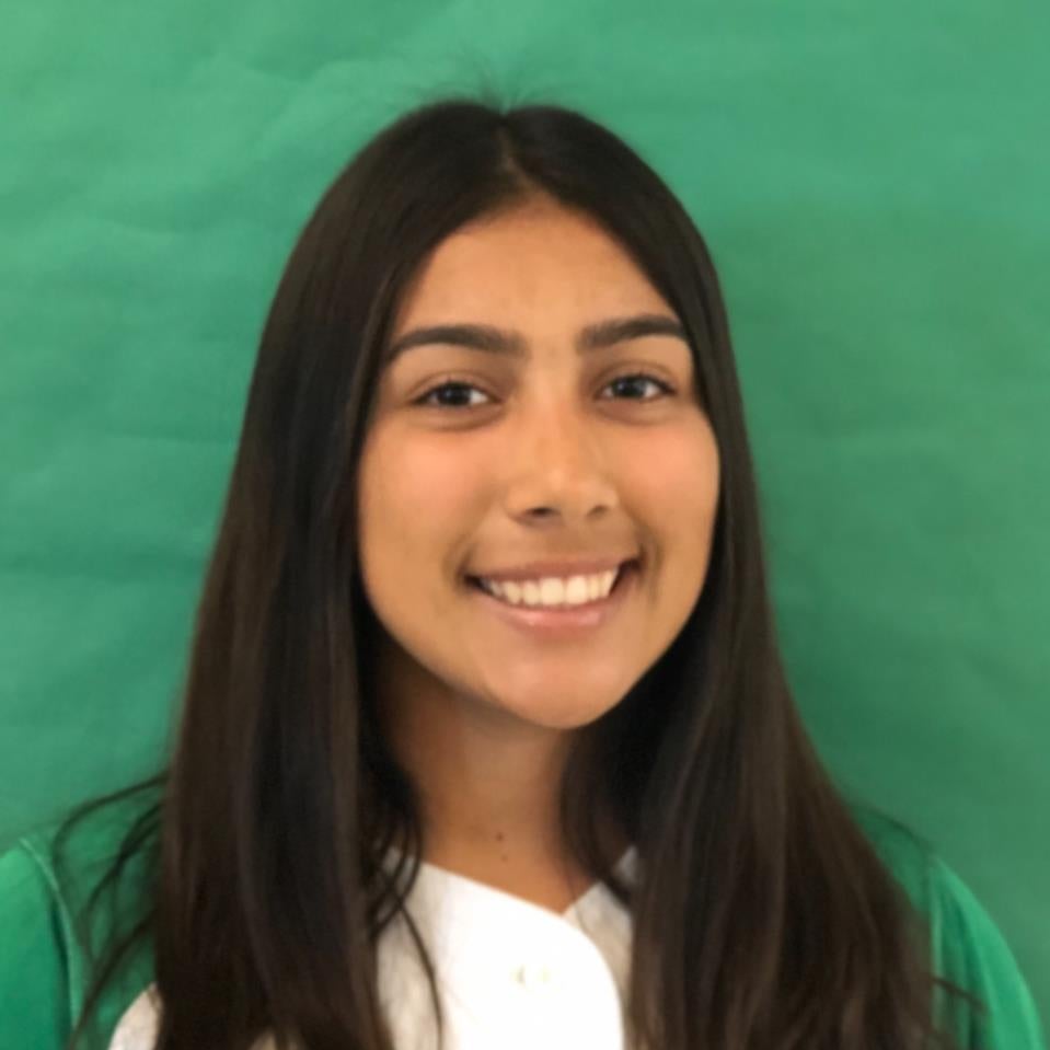 Lily Hermosillo mugshot