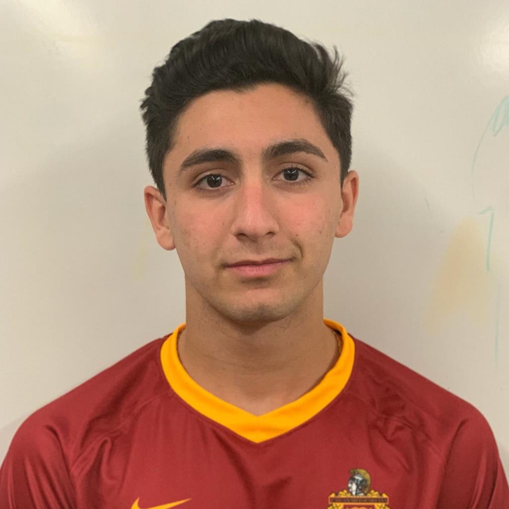 Arian Shapourifar mugshot