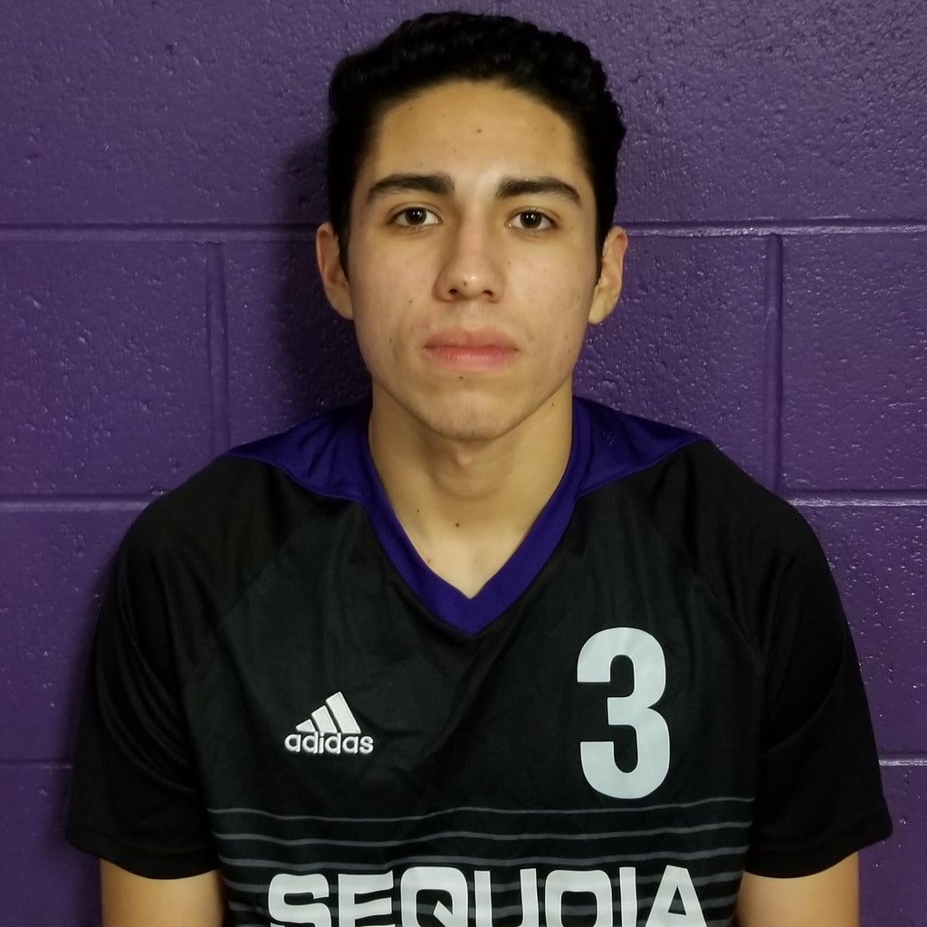 VICTOR LAGUNA mugshot