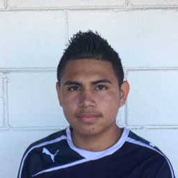 Luis Alexis Vera