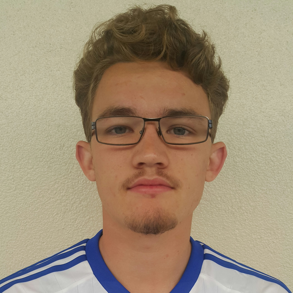 Jake Hallinan mugshot