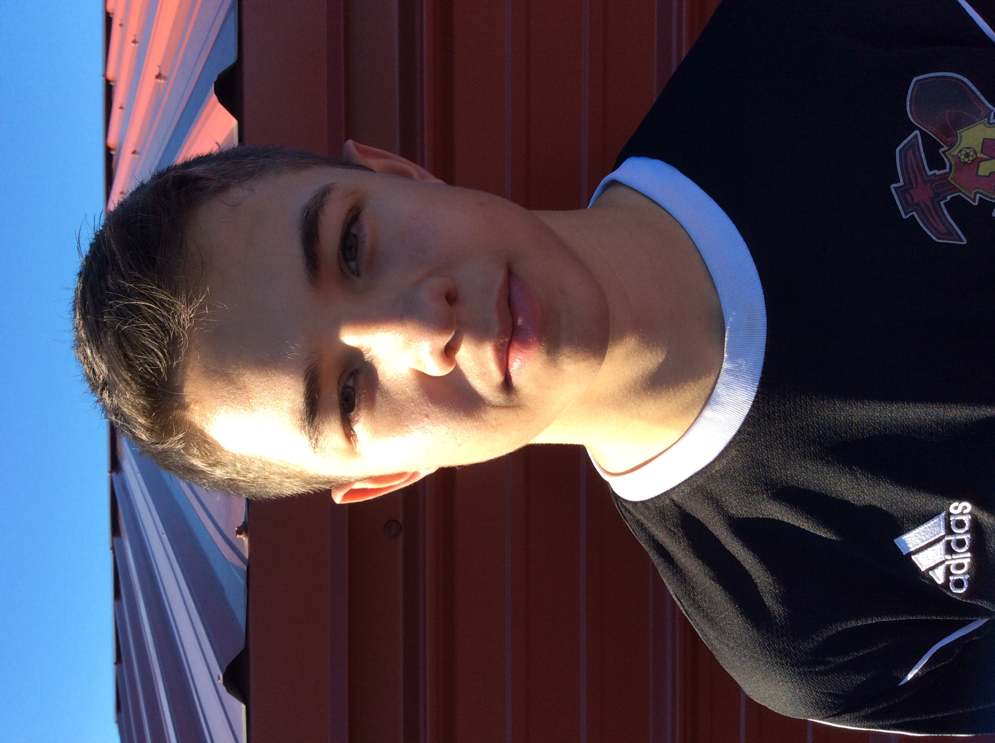 Kaydin Sarti