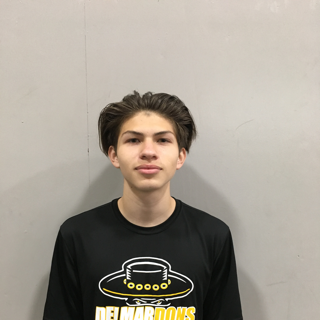 Luis Langarica mugshot