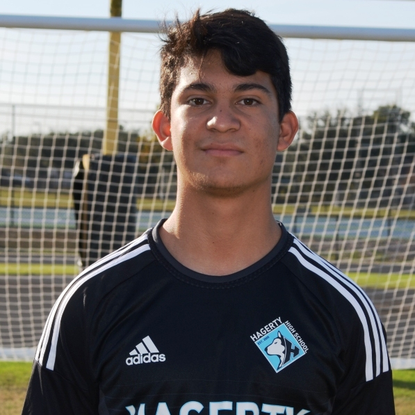 Jose Linares mugshot
