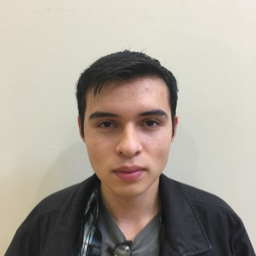 Luis Assid mugshot