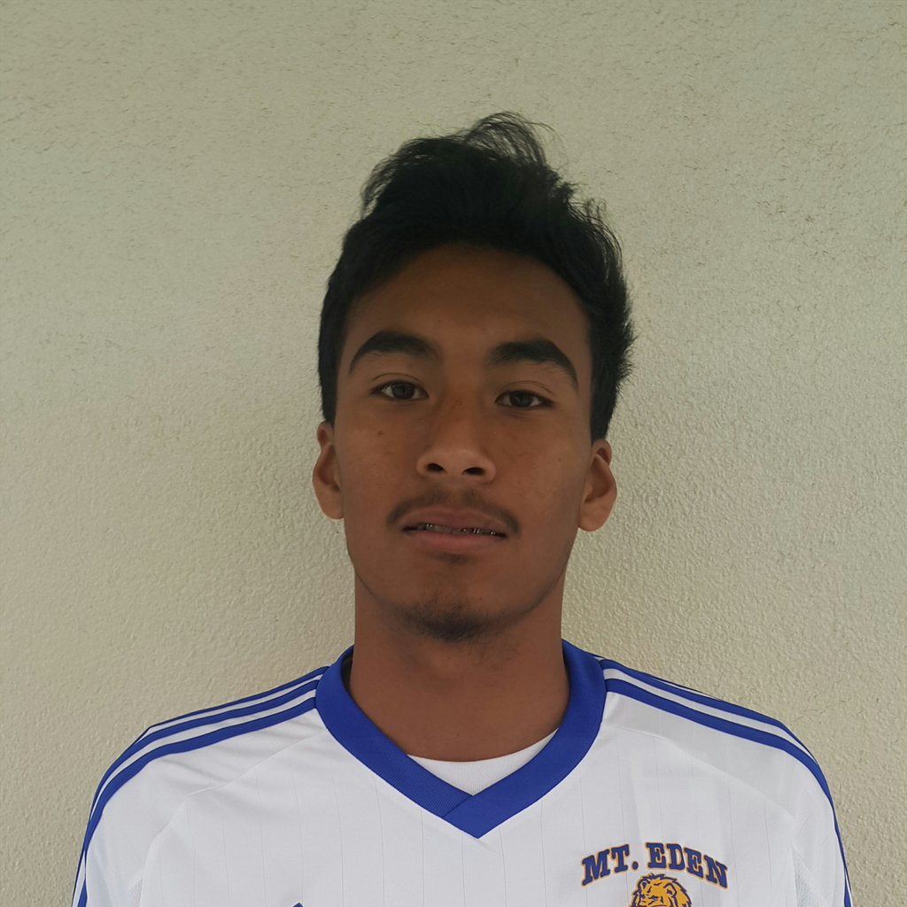 Bryan Torres mugshot