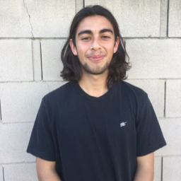 Ronaldo Ibarra mugshot
