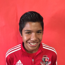 Bryan Fernadez mugshot