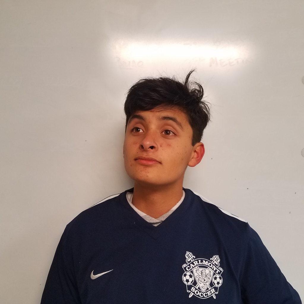 Austin Lopacinski mugshot