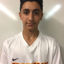 Arian Shapourifar mugshot